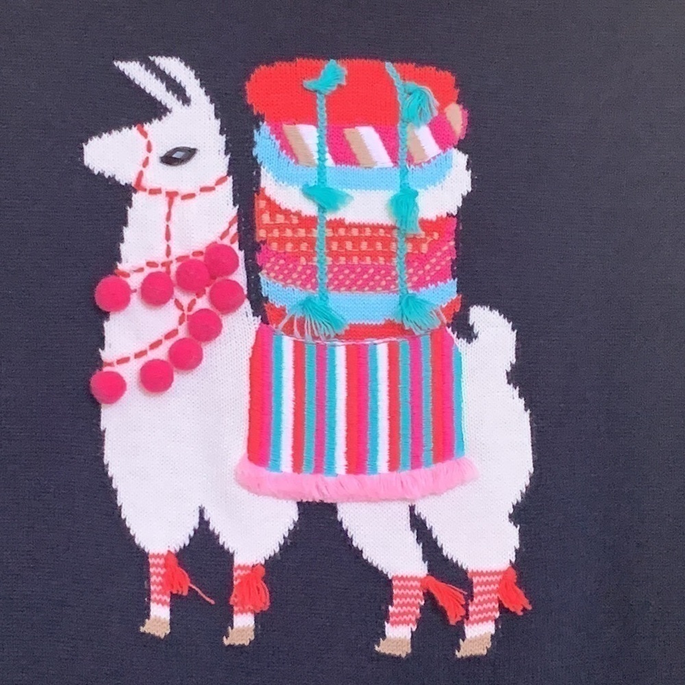 Talbots | Blue Llama Embroidered Pom Pom 3 D Knit Pullover Fun Sweater M - Picture 4 of 17